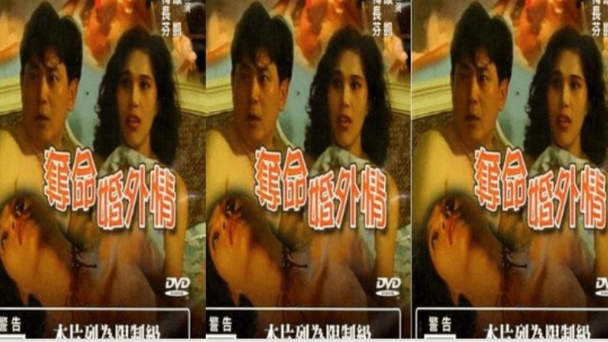 好日子在线观看视频大全免费动漫
